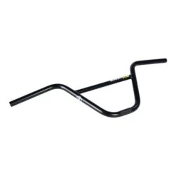 Guidon Stay Strong Larry Edgar Sig 2021 - 9"