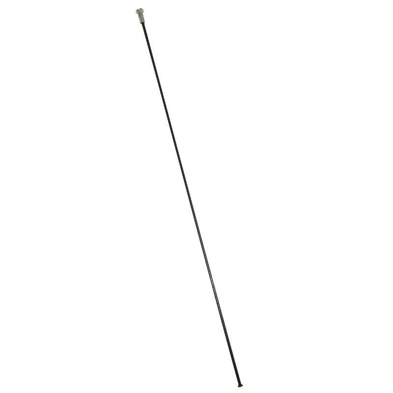 Dt-swiss Rayon Inox Tête Droite Competition Sans écrou DT Swiss 290 Mm 3 Dt-swiss Rayon Inox Tête Droite Competition Sans écrou DT Swiss 290 Mm