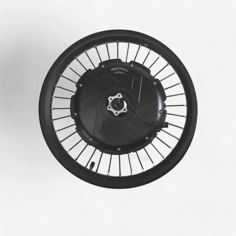 Roue Arrière 20" Pouces Double Parois Motorisé 48V 250W Nominal, 685 Watt Max 3 Roue Arrière 20" Pouces Double Parois Motorisé 48V 250W Nominal, 685 Watt Max